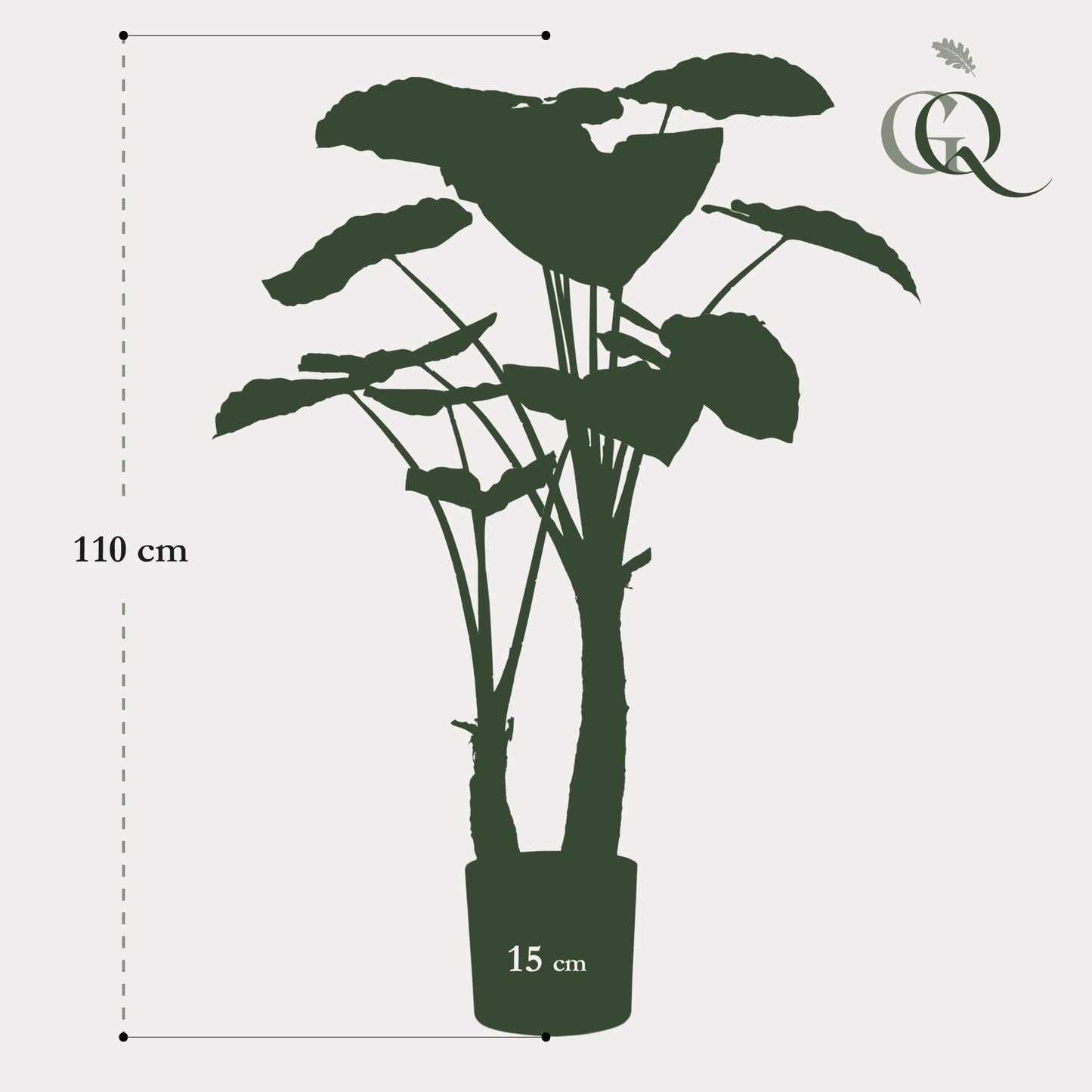 Kunstplant - Alocasia - Olifantsoor - 110cm