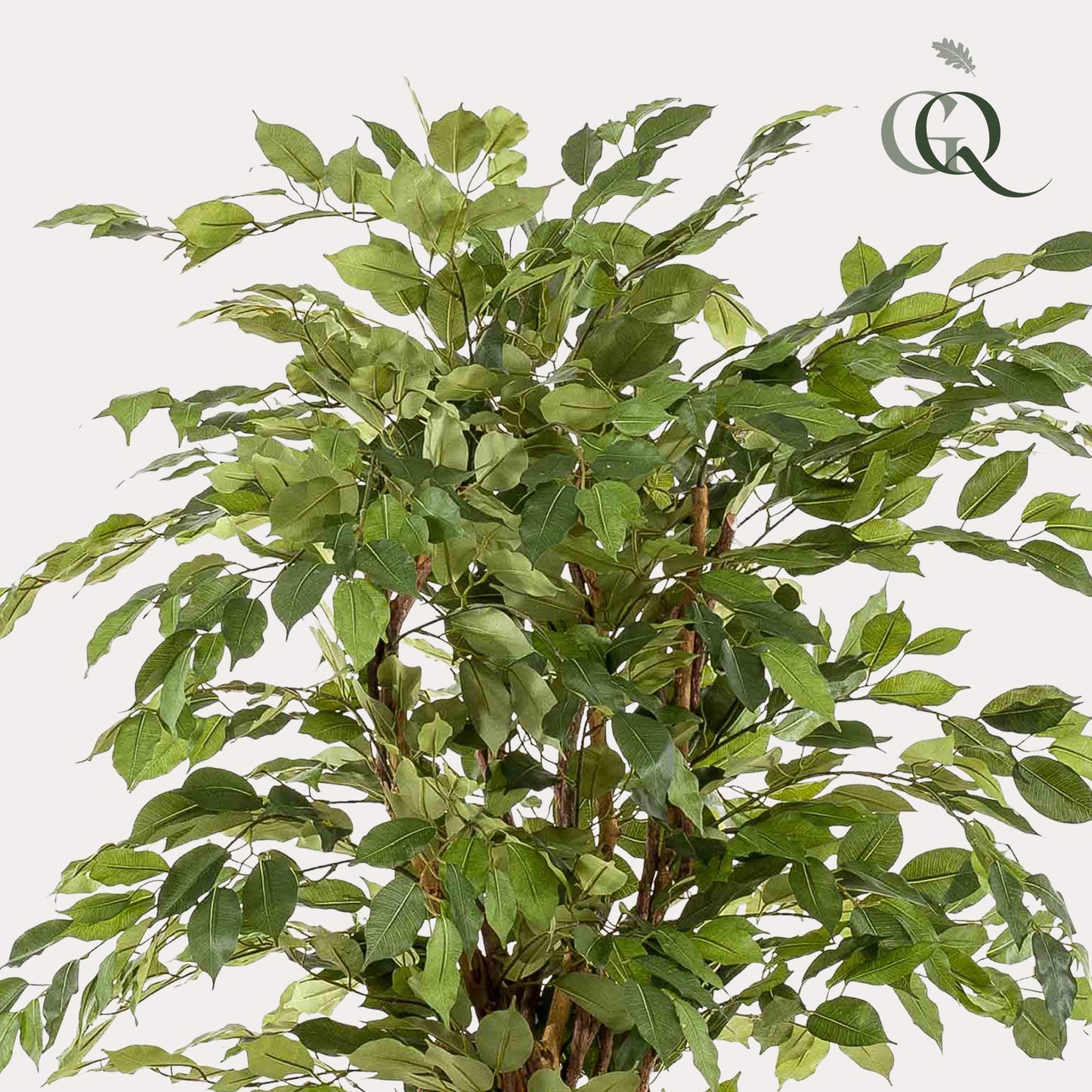Kunstplant - Ficus liana - Vioolbladplant - 170cm