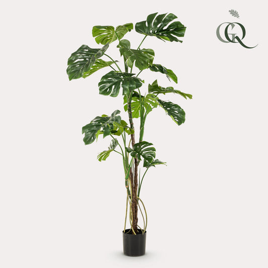 Kunstplant - Monstera  - Gatenplant - 180cm