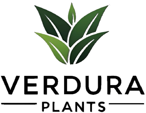 Verdura Plants