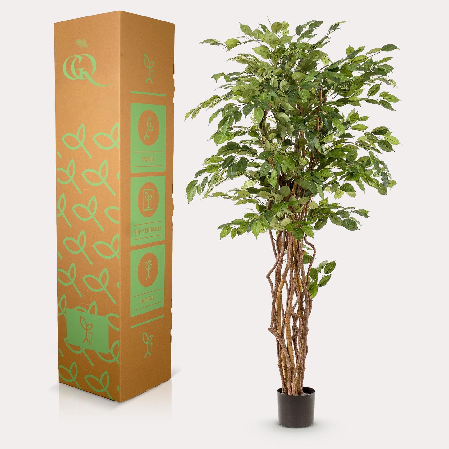 Kunstplant - Ficus liana  - Vioolbladplant - 170cm
