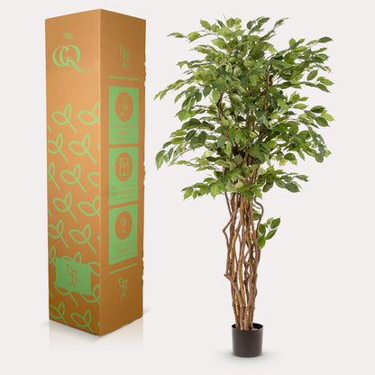 Kunstplant - Ficus liana  - Vioolbladplant - 170cm