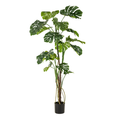 Kunstplant - Monstera  - Gatenplant - 180cm