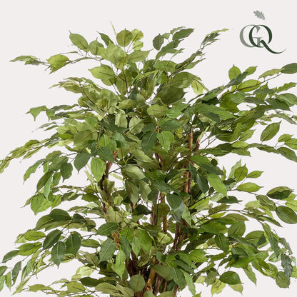 Kunstplant - Ficus liana  - Vioolbladplant - 170cm